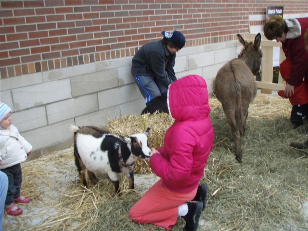 Petting zoo was provided by Penniman Hill Farm